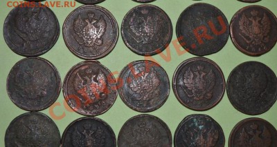 2 копейки- 25 монет- 1820,1812,1816,1827,1811,1821,1822,1828 - DSC_0025