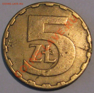 5 злотых 1986 г оценка - IMG_6547.JPG