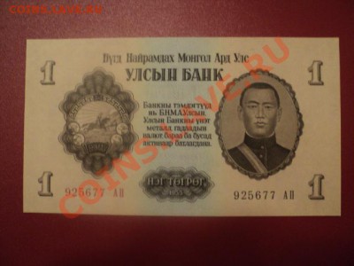 1 тугрик Монголии 1955 до 16.05.2013 в 22.00 мск - DSC01762.JPG