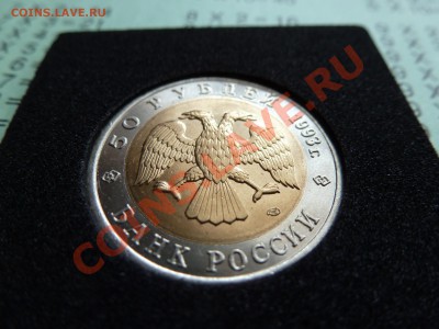 обмен майский - P1010323.JPG