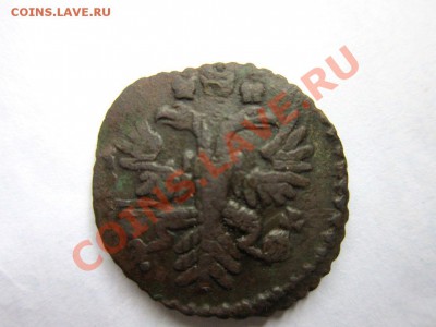полушка 1731 года. - IMG_0495.JPG