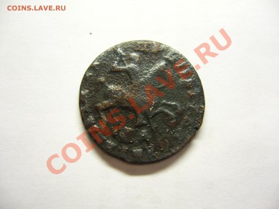 Копейка Петра-1  1712 г. - КопейкаПетра 1712г. (2).JPG