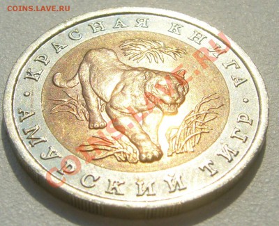 10 рублей 1992 г. АМУРСКИЙ ТИГР до 14.05-22.00.00 по МСК - P1100430.JPG