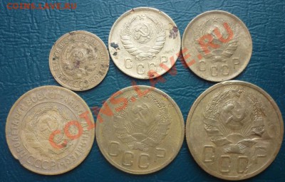 6 совето есть нечастые - кучка советов 1.JPG