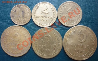 6 совето есть нечастые - кучка советов.JPG