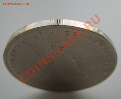 Ястребиная сова. Раскол гуртового кольца - 1 Сова