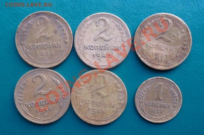 Копанина на оценку. - DSC03124.JPG