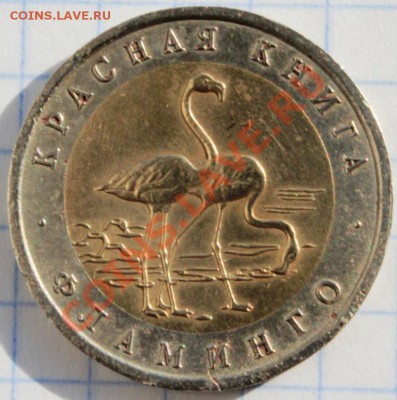 ФЛАМИНГО 1994 г 50 р красная книга. Короткий аук до 14.05.13 - IMG_0410.JPG