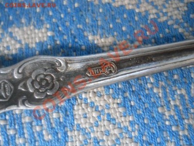 ложка? - DSCN2479.JPG