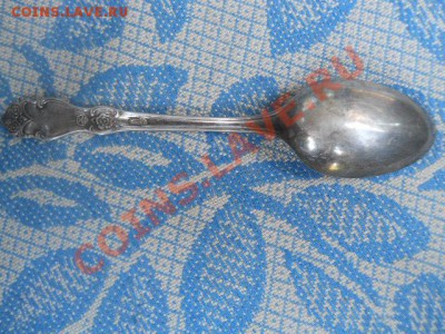 ложка? - DSCN2481.JPG
