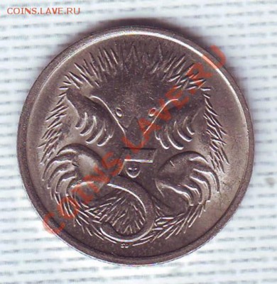 Австралия.5 Центов.1984.Ехидна. до 20 Мая - 19840005.JPG