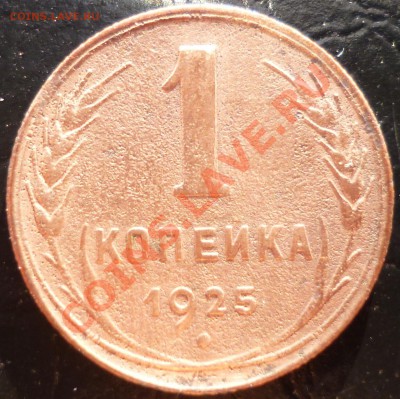 1 коп. 1925г. на оценку. - P1010091.JPG