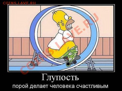 ИВАНОВО ,репа О , вот и выбрался из болота - x_f8c87f5b