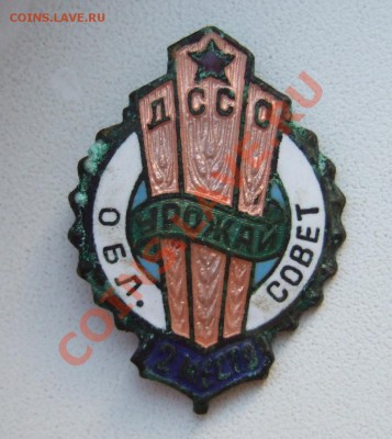ДССО Урожай, облсовет, тяжмет... - DSCF1153.JPG