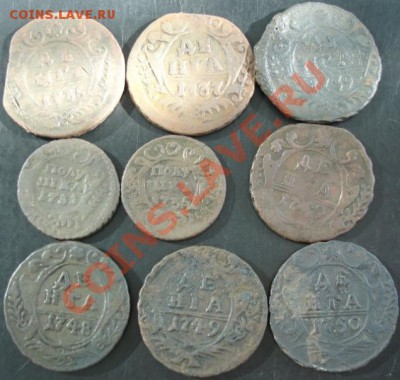 Полушка,деньга 1731-1750 года(9 штук) до 22-00 20.05.13 года - DSC00555.JPG