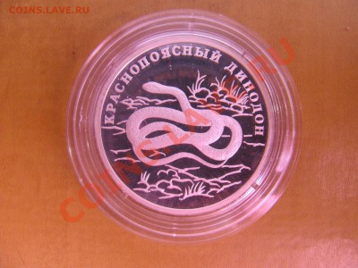 Красная книга 2007 (краснопоясный динодон) до 20.05 в 22-00 - 4
