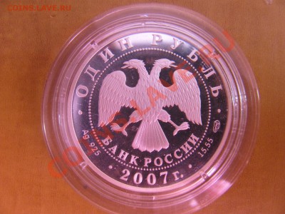 Красная книга 2007 (краснопоясный динодон) до 20.05 в 22-00 - 41