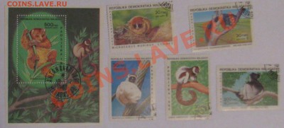 Господа эксперты! Помогите оценить небольшую коллекцию. - IMG_6586.JPG