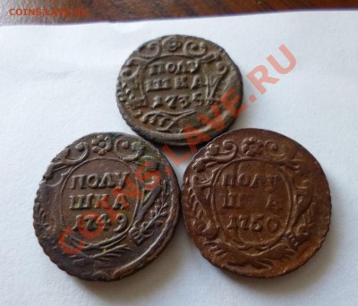 полушки 1735,1749,1750 - P1000942.JPG