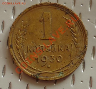 1к-1930г не чищенная прямо с поля до 20.05.13г - DSC05807_cr