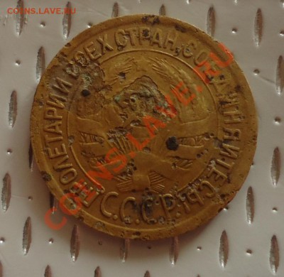 1к-1930г не чищенная прямо с поля до 20.05.13г - DSC05808_cr