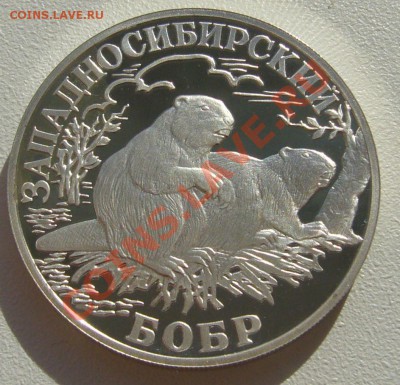 прошу оценить 1 рубль 2001 г. БОБР - P1100931.JPG