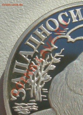 прошу оценить 1 рубль 2001 г. БОБР - P1100933.JPG