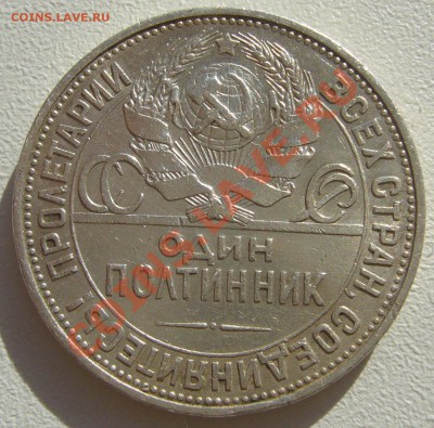 ПОЛТИННИК 1925 года до 21.05-22.00.00 по Москве - P1100942.JPG