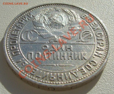 ПОЛТИННИК 1925 года до 21.05-22.00.00 по Москве - P1100943.JPG