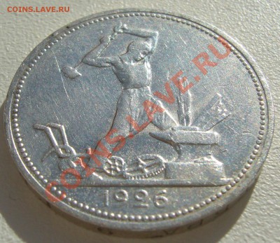 ПОЛТИННИК 1926 года до 21.05-22.00.00 по Москве - P1100956.JPG