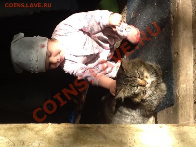 ФОТО - просто фото. Те что получились удачными. - image