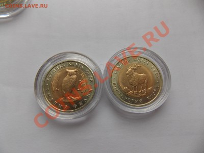 Юбилейка РФ. 2-ки города герои,  Адыгея. тема пополняемая - DSCN1344.JPG