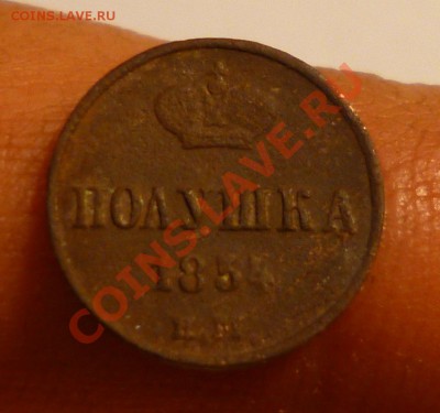 полушки 1853,1854 - P1000955.JPG