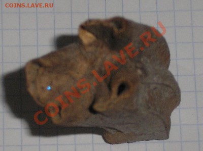 зубы мамонта опознание оценка - 543