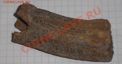 зубы мамонта опознание оценка - 546
