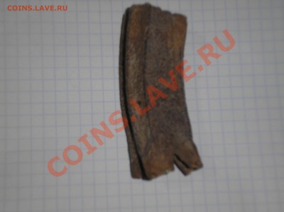 зубы мамонта опознание оценка - Изображение 540
