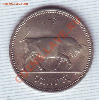 Ирландия.Шиллинг.1964.Бык.до 25 Мая - 19640011.JPG