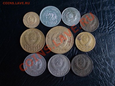 Советы ранние 10 штук до 22 мая. - DSCN2809.JPG