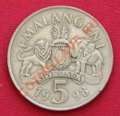 СВАЗИЛЕНД 5 emalangeni 2008г. ЛЕВ и СЛОН до 26.05.13г. - IMG_6372.JPG