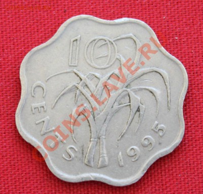 СВАЗИЛЕНД 10с 1995г. КУСТ волнистая до 26.05.13г. в 22-00 - IMG_6360.JPG