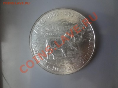 Канада: Ag-500 1$ 1985г Лось! до 25.05.13г 22.00мск - DSC04505.JPG