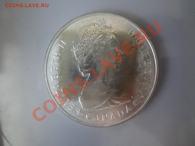 Канада: Ag-500 1$ 1985г Лось! до 25.05.13г 22.00мск - DSC04506.JPG