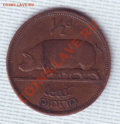 Ирландия.Пол пенни.1928.Свинья. до 26 мая - 19280010.JPG