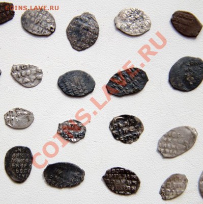 60 чешуек до 22-00 26 мая - _MG_2608