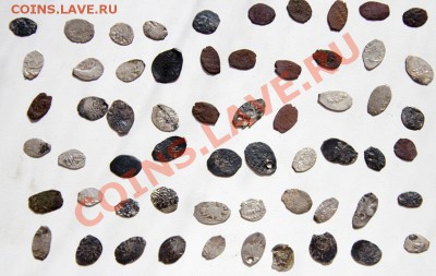 60 чешуек до 22-00 26 мая - _MG_2615