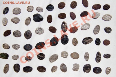 60 чешуек до 22-00 26 мая - _MG_2609