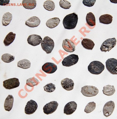 60 чешуек до 22-00 26 мая - _MG_2619