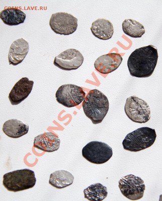 60 чешуек до 22-00 26 мая - _MG_2617