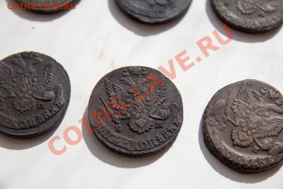 17 пятаков Е2 до 22-00 26 мая - _MG_2641