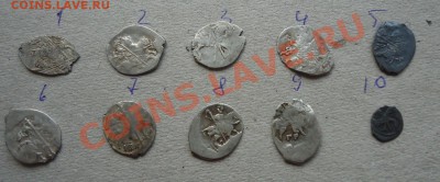 10чешуек со вчерашнего выезда-атрибуция и оценка - DSC05837_cr